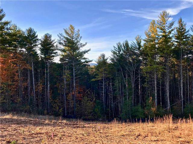 Lot 154 Rocky Falls Lane - Photo 1