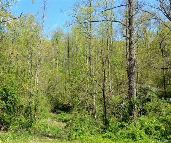 2196 Lamb Mountain Road - Photo 1