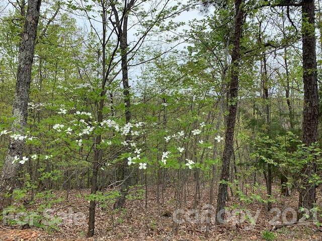 4240 High Peak Mountain Road - Photo 1