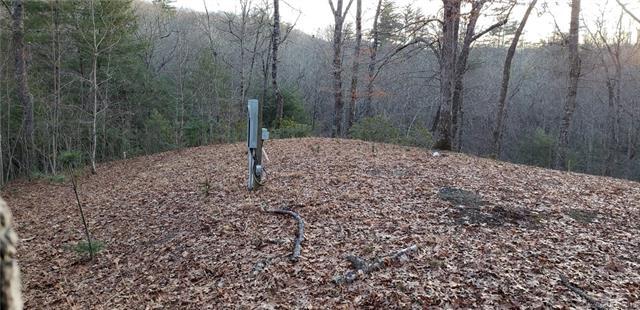 285 Red Oak Farm Road - Photo 1