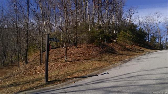 Lot 9R Shining Rock Path - Photo 1