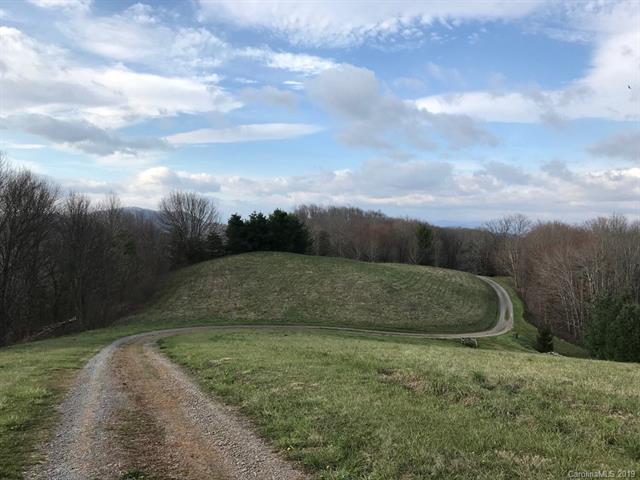 00 Ore Knob Road - Photo 1