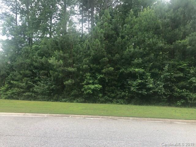 Lot 42 Cottonwood Drive - Photo 1