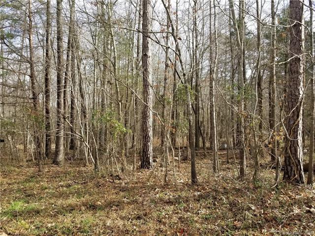 166 Morgan Acres Drive - Photo 1