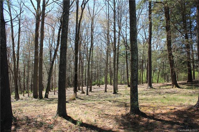Lot 1 Cedar Hill Drive - Photo 1