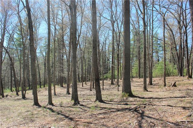 Lot 2 Cedar Hill Drive - Photo 1