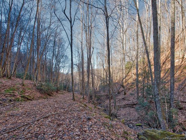 Off Hemlock Springs Road - Photo 1