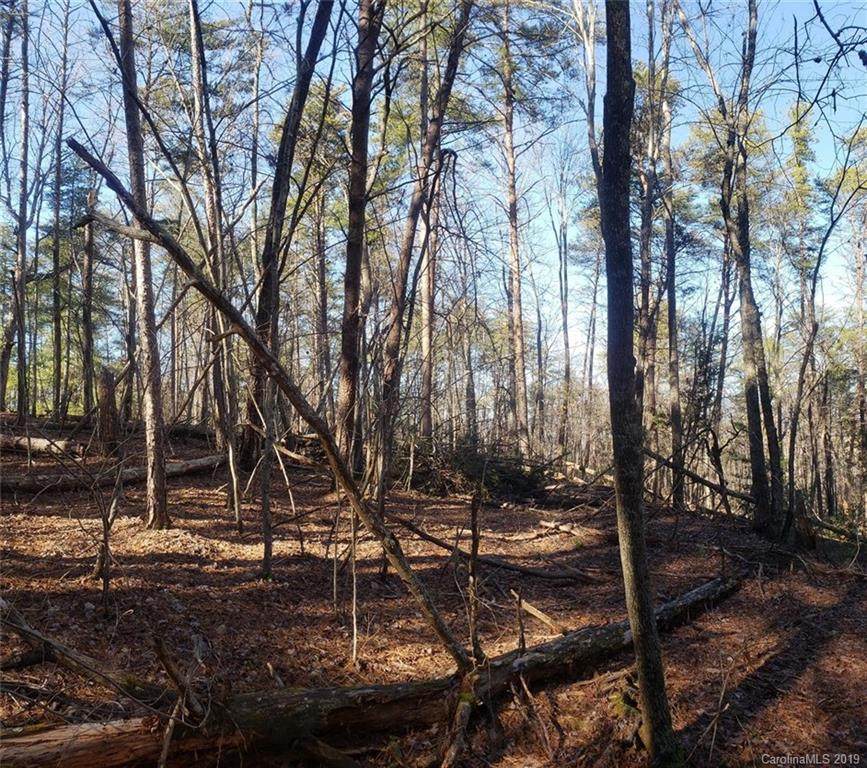 0 Doves Way - Photo 1