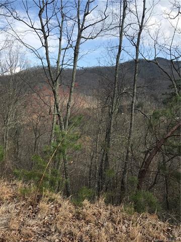 00 Sourwood Drive - Photo 1