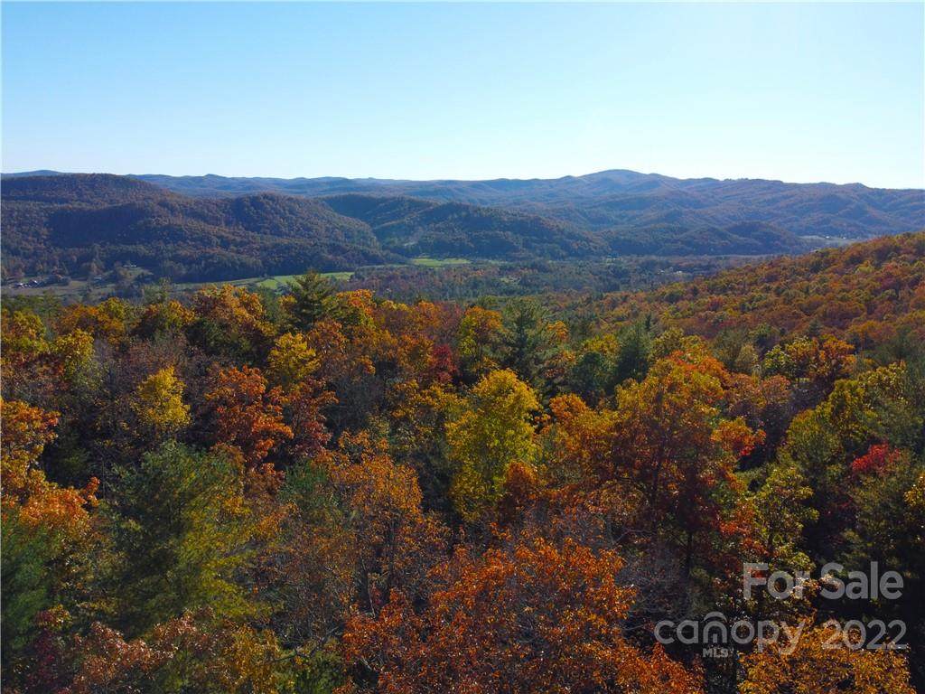 000 Dogwood Lane - Photo 1