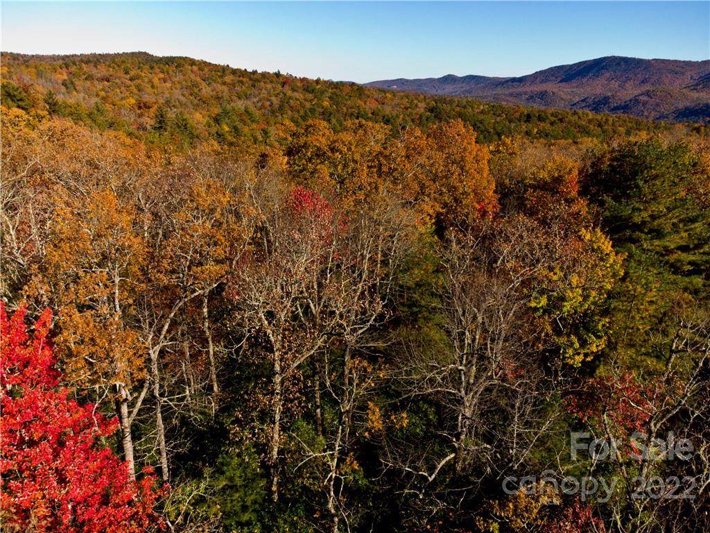 000 Dogwood Lane - Photo 1