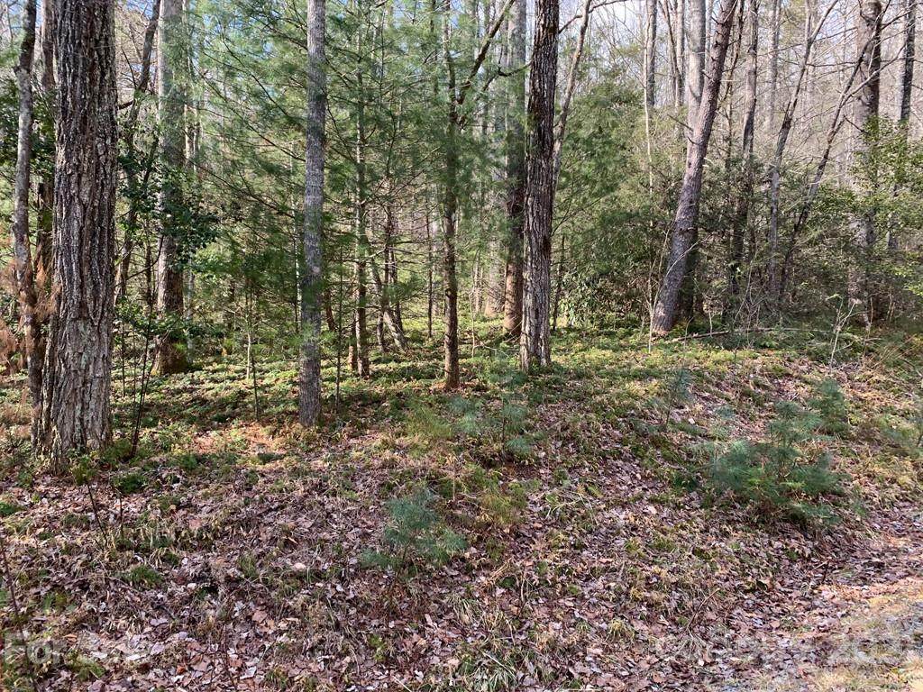 126 Green Hollow Lane - Photo 1