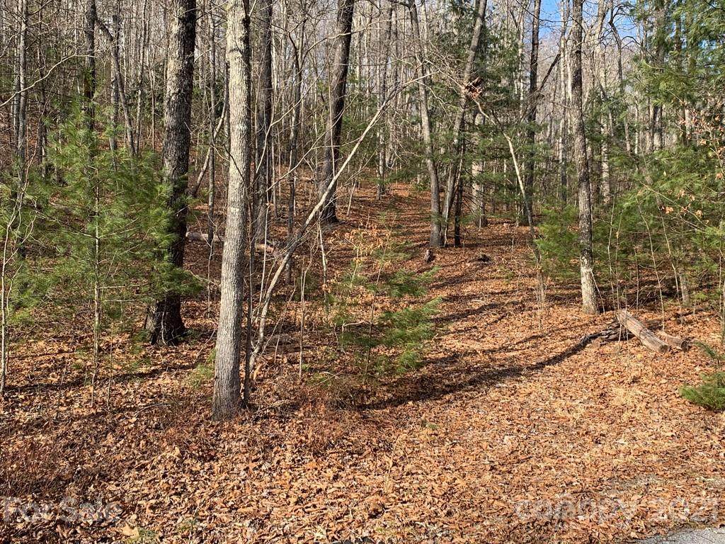 124 Green Hollow Lane - Photo 1
