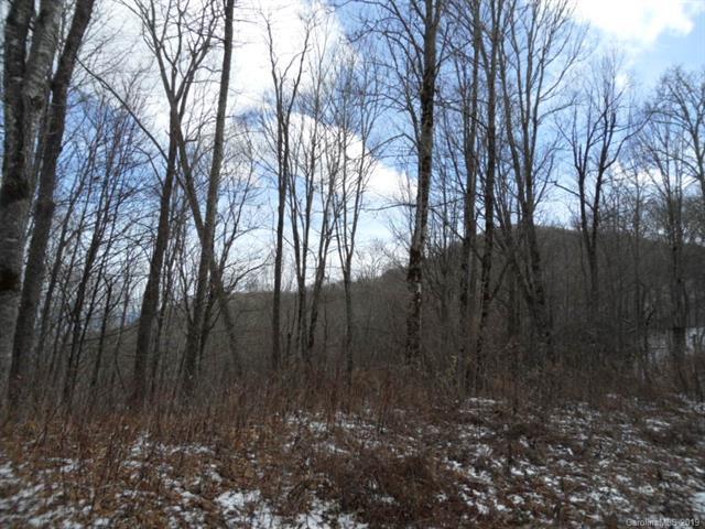 0 Big Laurel Road - Photo 1