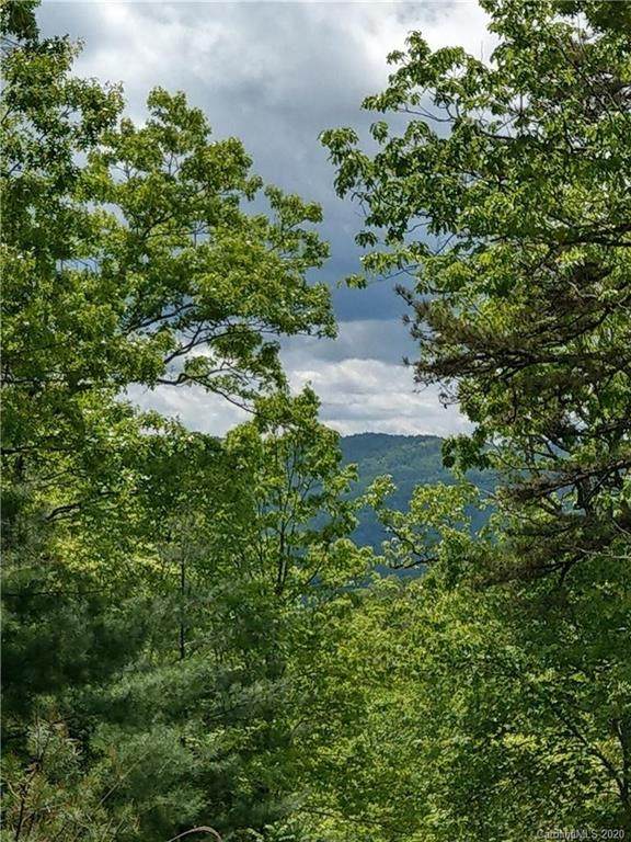 000 Dogwood Lane - Photo 1