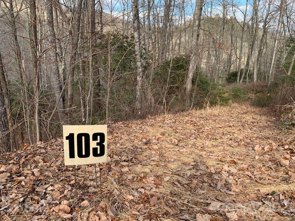 103 Laurel Thicket Lane - Photo 1