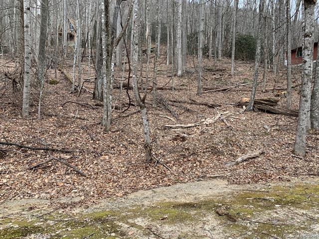 00 Sleepy Hollow Drive - Photo 1