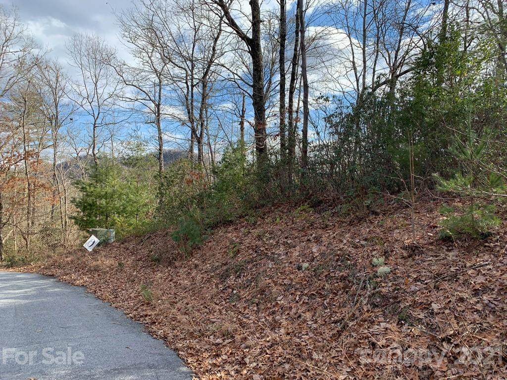 91 Laurel Thicket Lane - Photo 1