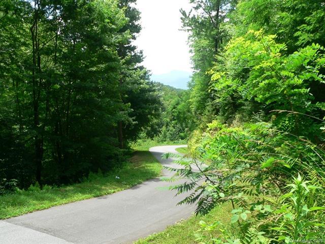 33 Still Branch Road - Photo 1