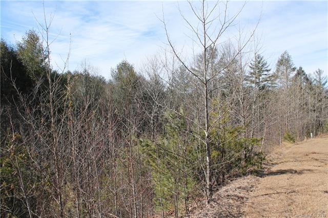 5673 Rocky Falls Lane - Photo 1