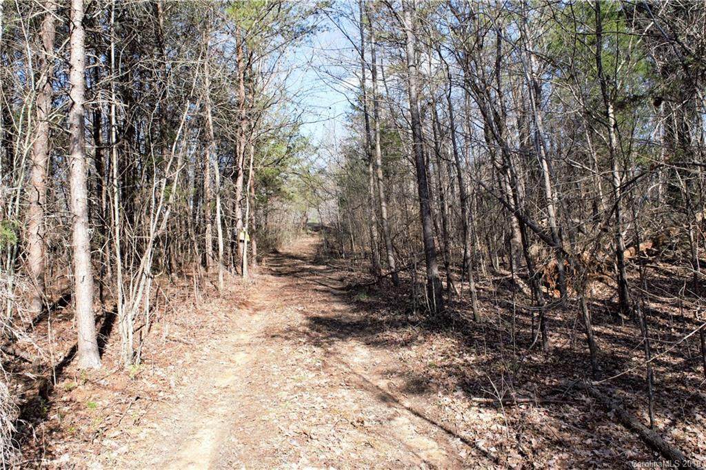 0 Potneck Road - Photo 1