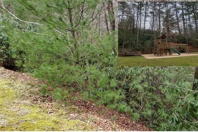 #355 Mountain Ivy Lane - Photo 1