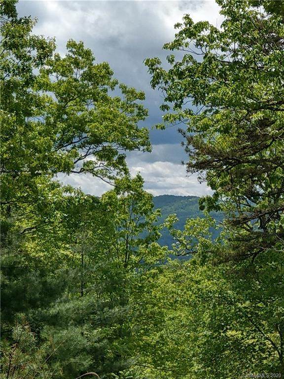 000 Dogwood Lane - Photo 1