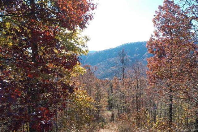 Lot T-71 734 Kestrel Lane - Photo 1