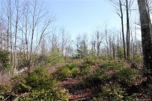 TBD Eastatoe Gap Road - Photo 1