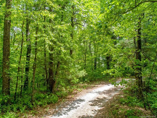 138 Chestnut Ridges Road - Photo 1