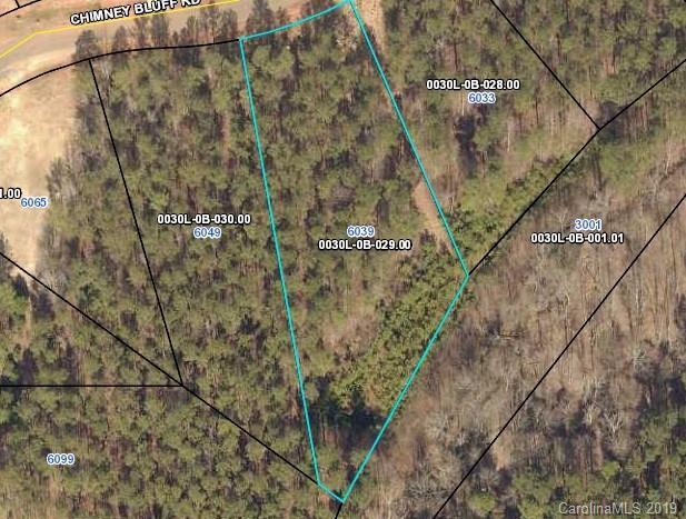 6039 Chimney Bluff Road - Photo 1