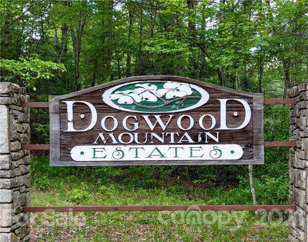 000 Dogwood Lane - Photo 1
