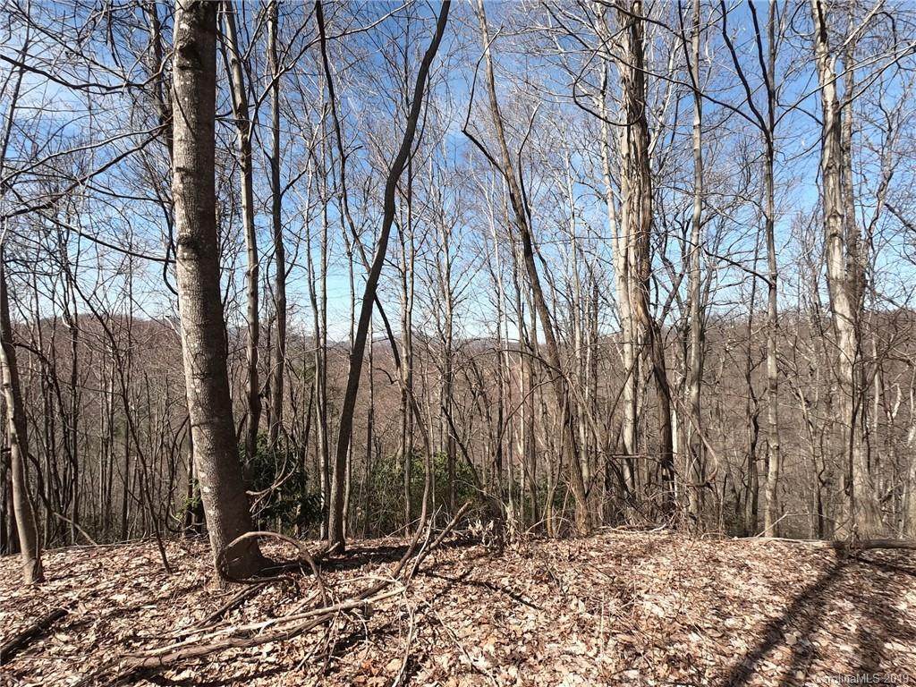 19 +/- Acres Homers Lane - Photo 1