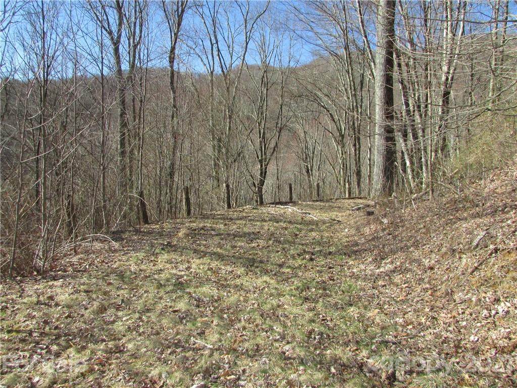 0 Running Bear Road - Photo 1