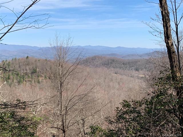 129 Whitetail Trail - Photo 1