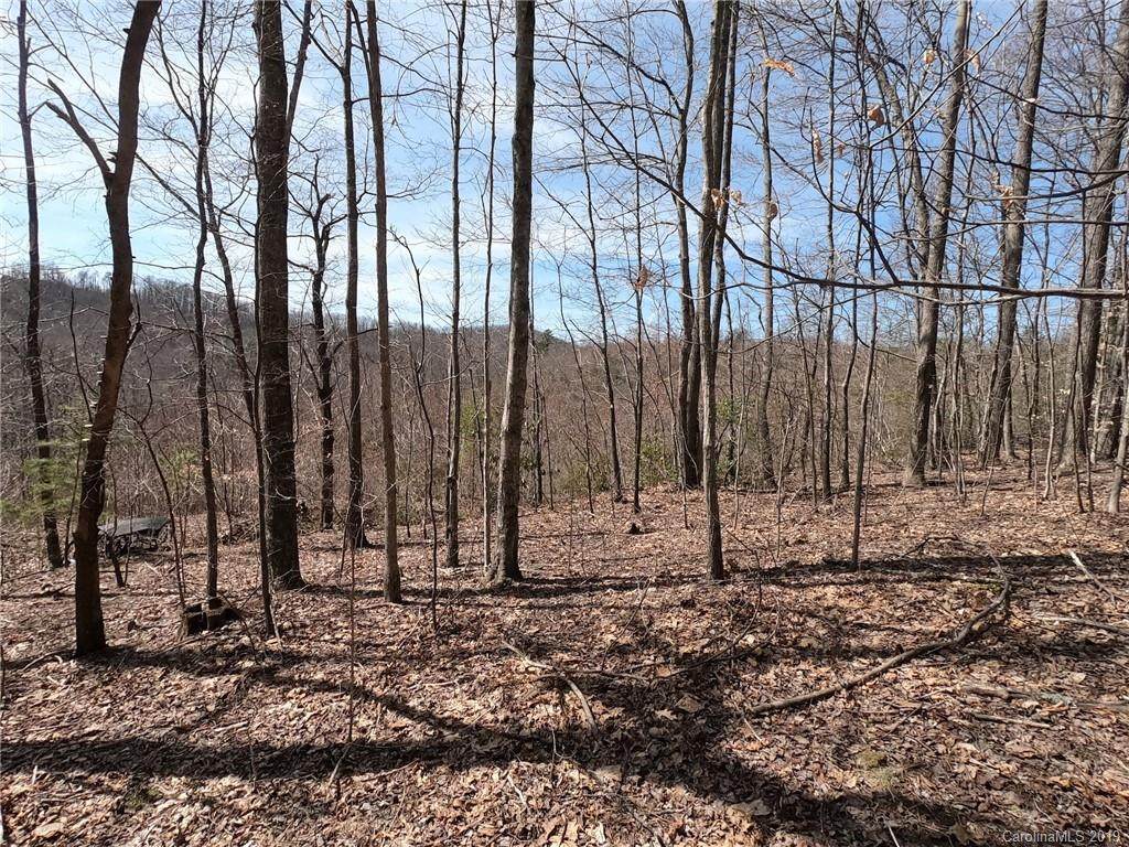 25 +/- Acres Homers Lane - Photo 1
