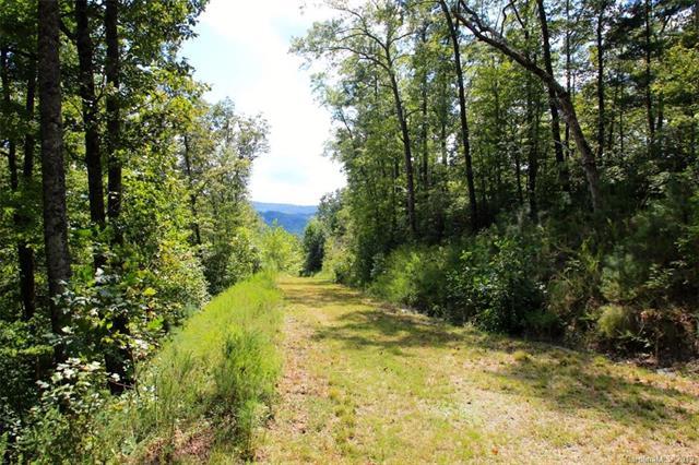 0 Glen Cannon Drive - Photo 1