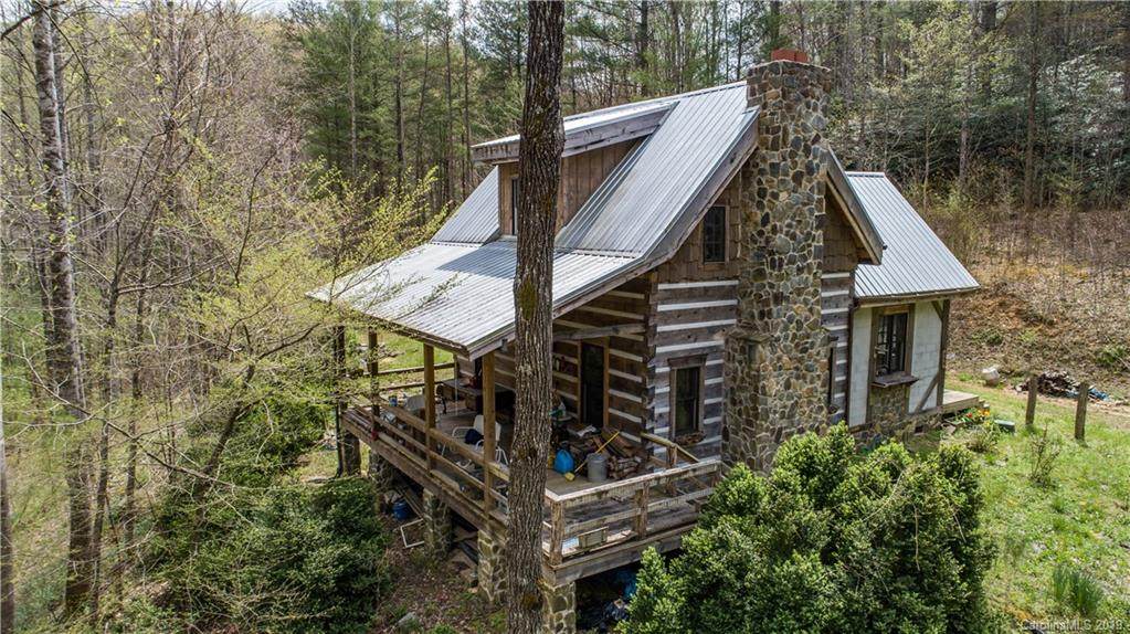 459 Old Yellow Mountain Road - Photo 1