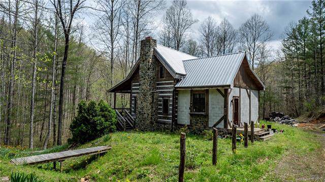 459 Old Yellow Mountain Road - Photo 1