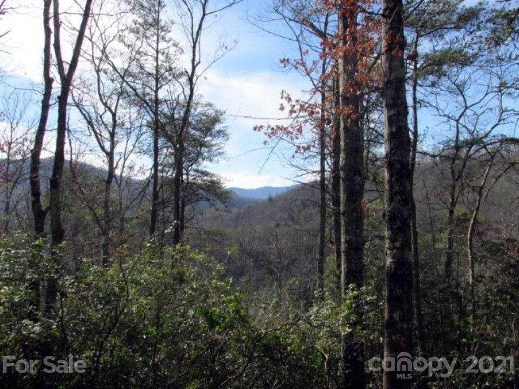 33 Wild Top Trail - Photo 1