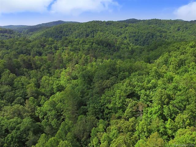 TBD Cantrell Mountain Road - Photo 1