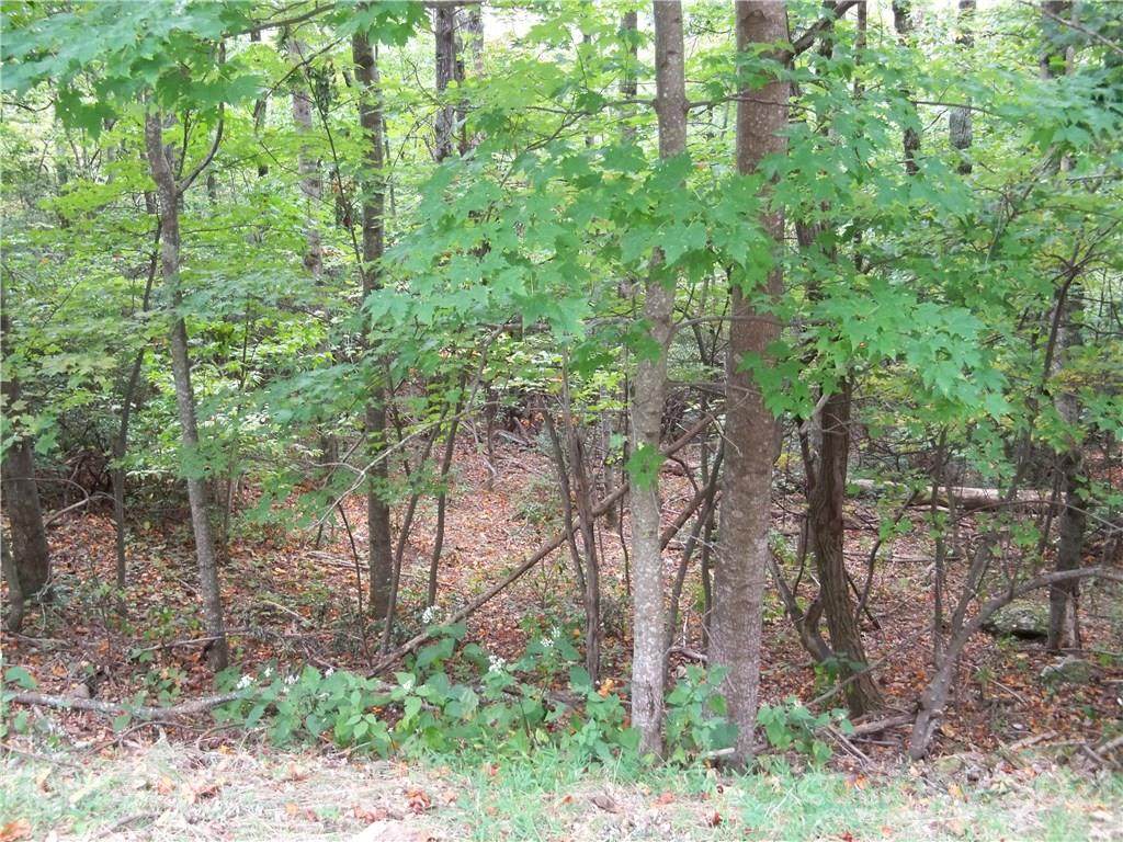 00 Arrowhead Trail - Photo 1