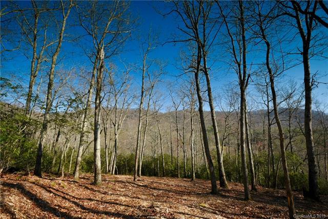 423 Walnut Valley Parkway - Photo 1