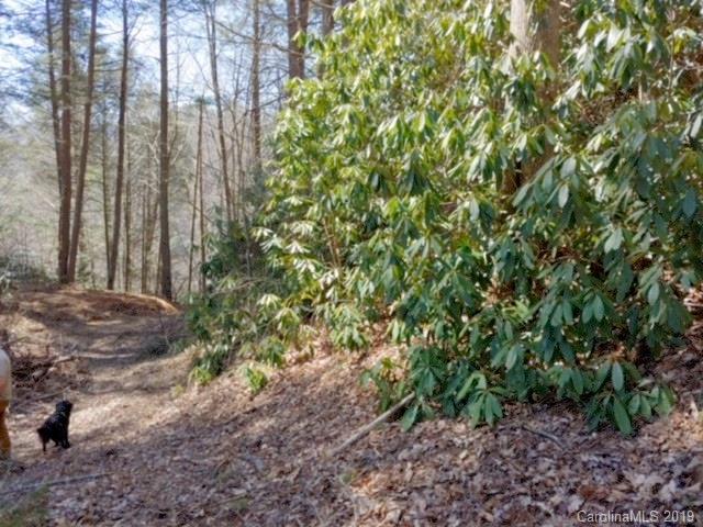 9977 Big Laurel Road - Photo 1