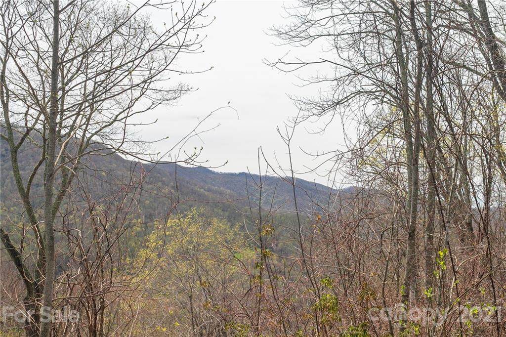 Lot 12 Austin Mountain Drive - Photo 1