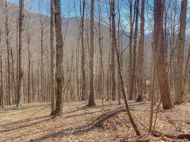 00 Chimney Ridge Trail - Photo 1