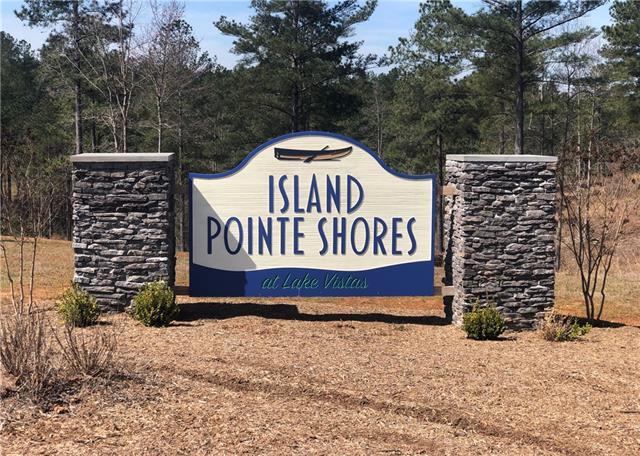 2011 Island View Lane - Photo 1