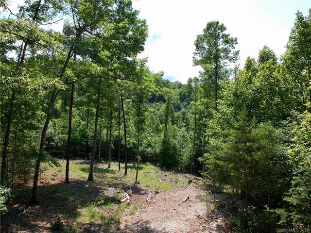 225 Red Fox Trail - Photo 1