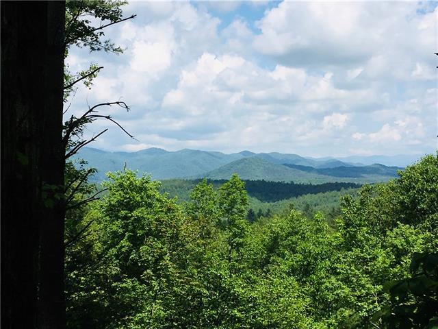 Lot 233 Waterfall Lane - Photo 1