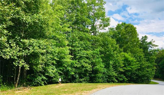 Lot 8 Phase 1 Walnut Ridge Drive - Photo 1